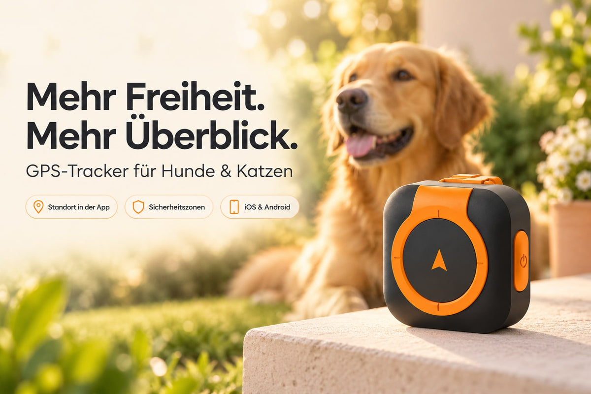 ECHOORIA GPS-Tracker für Hunde & Katzen – mit Halsband, Schwarz